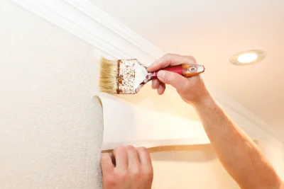 Pose de papier peint à Mas-Blanc-des-Alpilles — revêtements muraux et toiles de verre